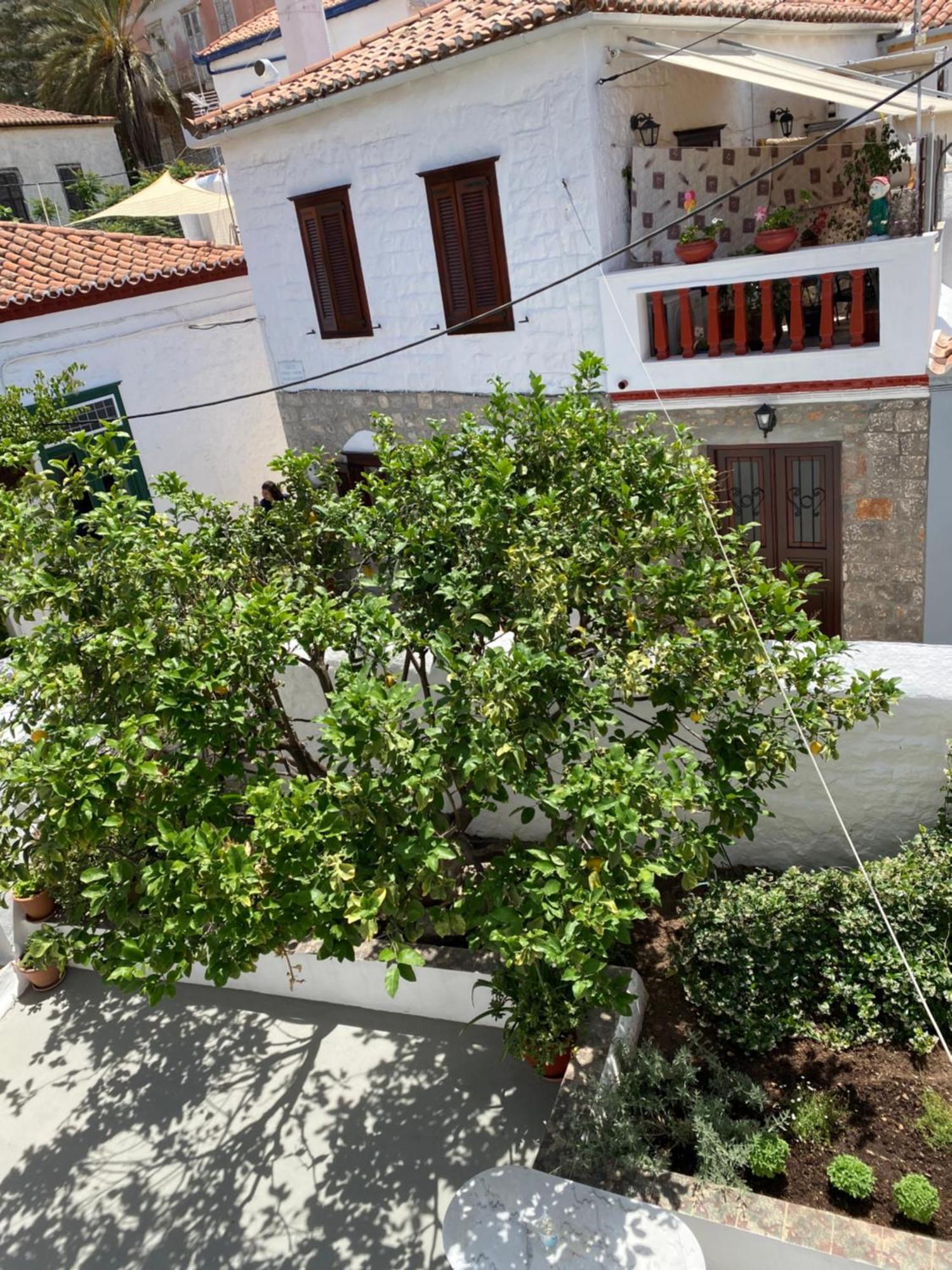 فندق Douskos Uptown Living هيدرا المظهر الخارجي الصورة